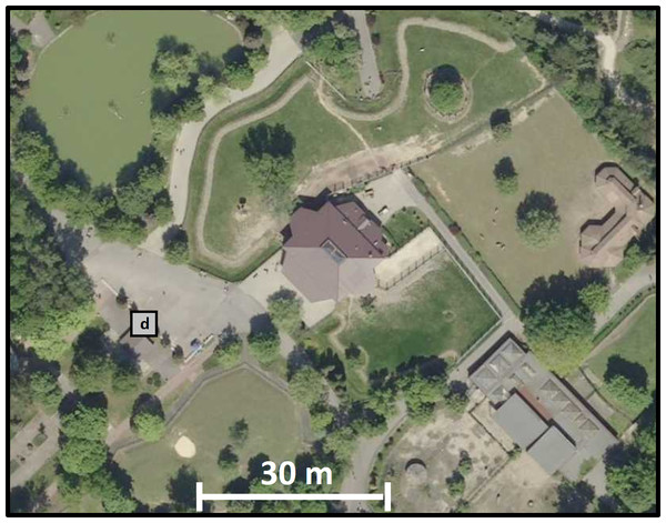 A fragment of the orthophotomap showing developments in the immediate vicinity of the antelope house.