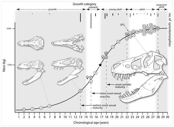 Tyrannosaurus rex ontogram, chronological age, and mass mapped onto the growth curve of Erickson et al. (2004).