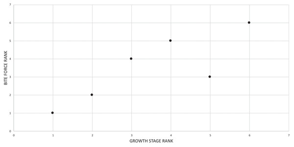 Scatterplot showing the congruence in Tyrannosaurus rex between bite force (i.e., and maturity).