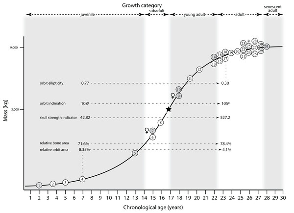 The results of Henderson (2002) mapped onto the growth curve of Tyrannosaurus rex.
