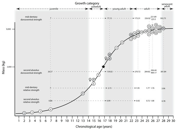 The results of Therrien, Henderson & Ruff (2005) compared with the growth curve of Tyrannosaurus rex.
