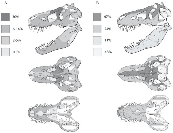 Heat maps of the ontogenetic changes seen in the skull and mandible of Tyrannosaurus rex.