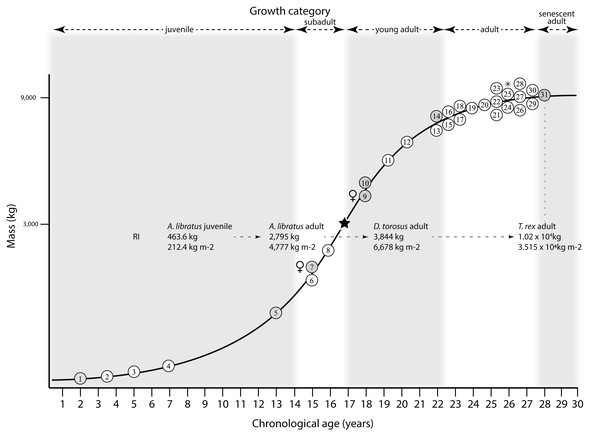 Comparison of the results of Henderson & Snively (2004) with the growth curve of Tyrannosaurus rex.