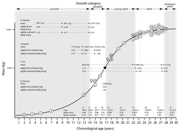 Comparison of the results of Snively et al. (2019) with the growth curve of Tyrannosaurus rex.