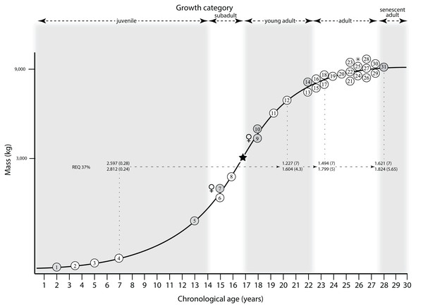 Reptile Encephalization Quotients (REQs) of Hurlburt, Ridgley & Witmer (2013) mapped onto the growth curve of Tyrannosaurus rex.
