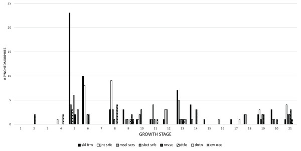 The frequency distribution of synontomorphies by apneumatic anatomical domain in the growth series of Tyrannosaurus rex.