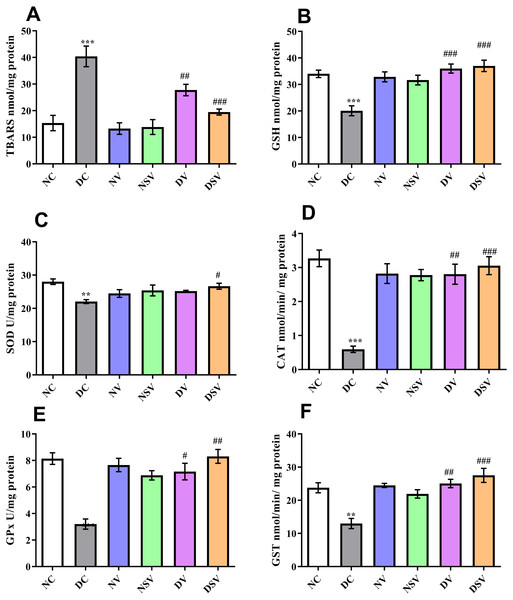 Effect of valsartan and LCZ696 on thiobarbituric acid reaction substances (TBARs) (A), glutathione (GSH) (B), superoxide dismutase (SOD) (C), catalase (CAT) (D), glutathione peroxidase (GPx) (E) and glutathione-S-transferase (GST) (F) in diabetic rats.
