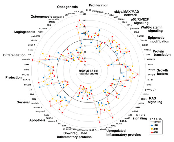 Star plot of global protein expression in pamidronate-treated RAW 264.7 cells.