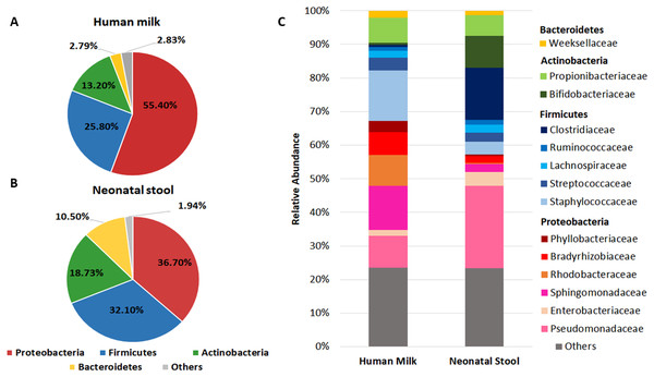 Relative abundance of predominant bacterial taxa (phyla and families) in human milk and neonatal stool.