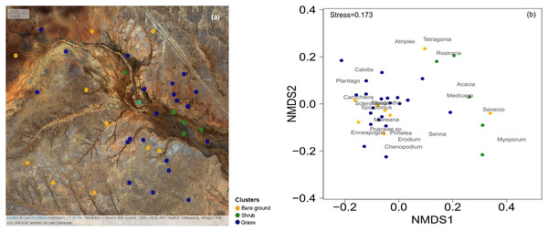 Map of the 36 surveys across the Gap Hills and the visual representation of the vegetation composition in the three vegetation clusters.