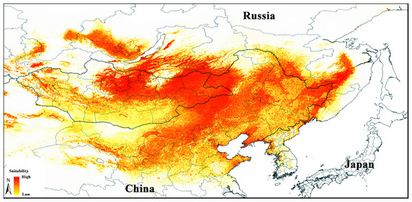 Median prediction of suitable regions for Strauchbufo raddei distribution under the current climate conditions.