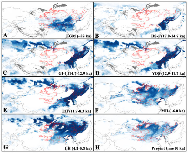 Predicted suitable regions for Strauchbufo raddei distribution under the Holocene and Late Pleistocene climate conditions.