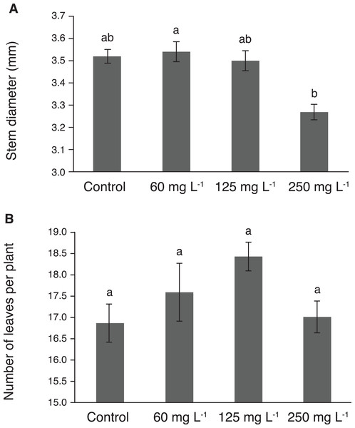 Stem diameter (A) and number of leaves (B) in pepper plants (Capsicum annuum L.) grown in nutrient solutions containing different concentrations of Si under unstressed conditions.