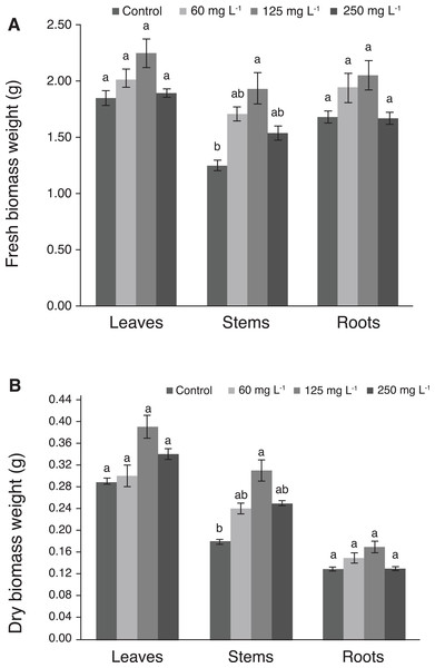 Weight of fresh (A) and dry (B) biomass of leaves, stems, and roots of pepper plants (Capsicum annuum L.) grown in nutrient solutions containing different concentrations of Si under unstressed conditions 28 dat.