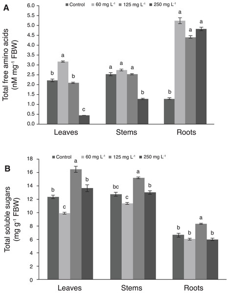 Concentration of total free amino acids (A) and total soluble sugars (B) in leaves, stems, and roots of pepper plants (Capsicum annuum L.) grown in nutrient solutions containing different concentrations of Si under unstressed conditions 28 dat.