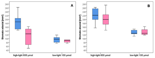 Stomata density of wild-type C. bursa-pastoris versus C. apetala (= Spe) grown under different light conditions.