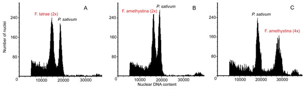 Histograms of nuclear DNA content obtained after FCM analysis of P. sativum cv. ‘Set’ (internal standard) and examples of Festuca accessions.