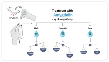 Peerj 生物化学 生物物理学和分子生物学部分 新利18备用