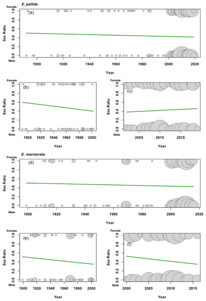 Logistic regressions of sex ratio for E. pallida and E. marmorata.