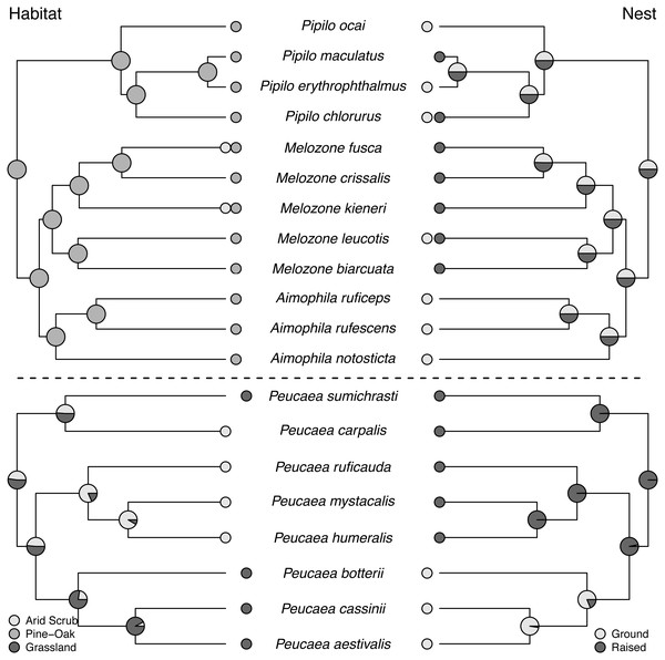 Trait reconstructions for habitat type and nest placement in two focal clades.