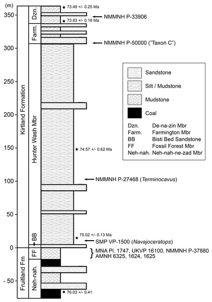 Generalized stratigraphic column of Fruitland and Kirtland Formations with radiometric dates and fossil occurrences.