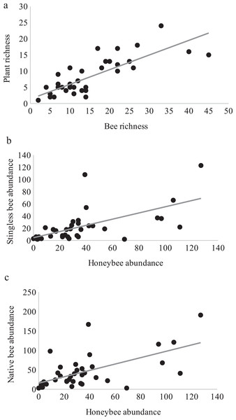 Bee richness and plant richness.