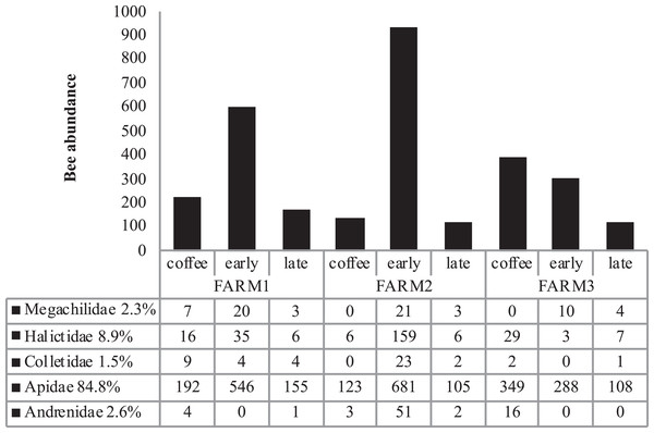 Total bee abundance per farm and vegetation type plots.