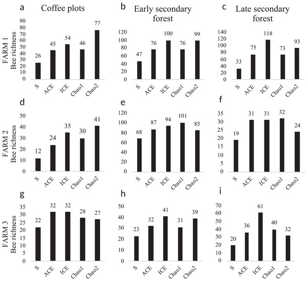 Bee diversity per farm and vegetation type.