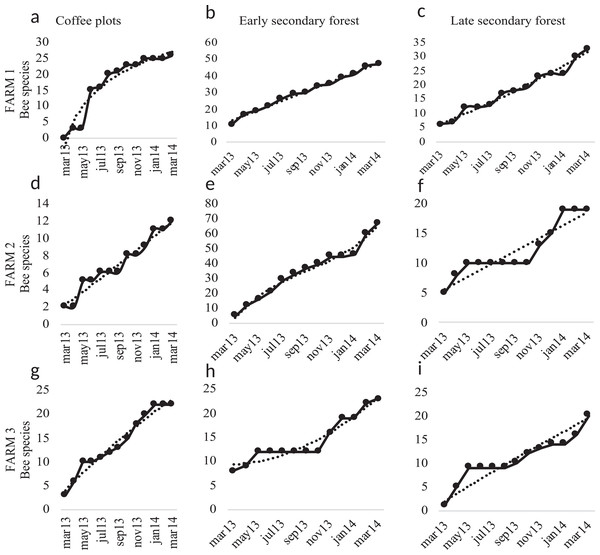 Species accumulation curves.