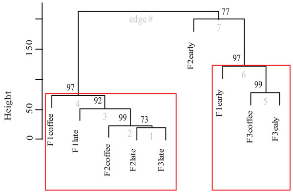 Dendrogram of bee species composition per farm and plot type.