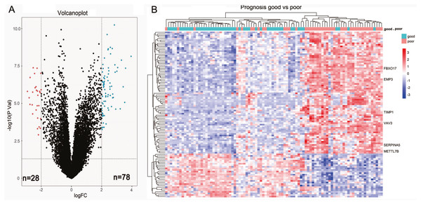 Identification of differential expressed genes between short-term survivors (<2 years) and long-term survivors (≥2 years) in the lower-grade gliomas in the TCGA microarray dataset.