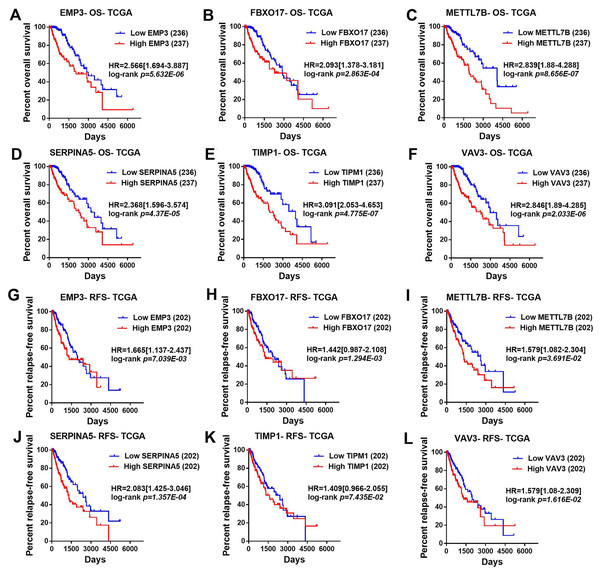 Correlation between the top six significant changed genes’ expression and patients’ survival in lower-grade glioma with TCGA LGG dataset.