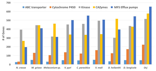 Abundance of genes in specific classes including ABC transporters, Cytochrome P450, Kinases, CAZymes, and MFS Efflux pumps present in nine species within the order Diaporthales.