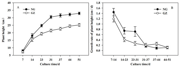 The differences in growth of offspring plants developed from overgrazed and ungrazed Leymus chinensis respectively in the culture period (Mean ± SE).