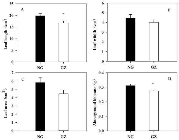 Effects of historical grazing on leaf length (A), width (B), area (C), and aboveground biomass (D) in offspring of Leymus chinensis (Mean ± SE).