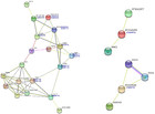 Genome-wide identification and expression analysis of the Dof gene ...