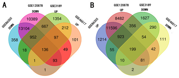 Identification of methylated-differentially expressed genes in gene expression datasets (GSE3189, GSE46517) and methylation expression datasets (GSE86355, GSE120899).