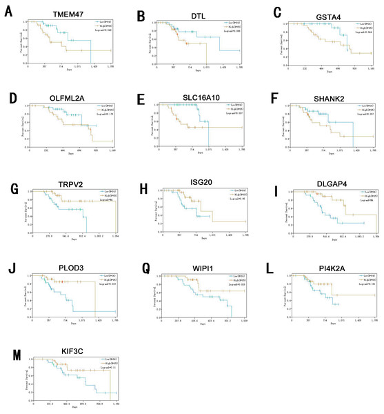 Survival analysis of genes significant to survival of melanoma patients.