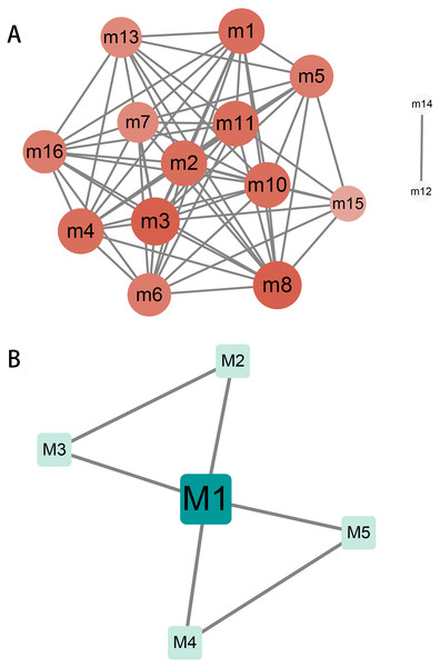 The crosstalk analysis of modules of humans or canine.