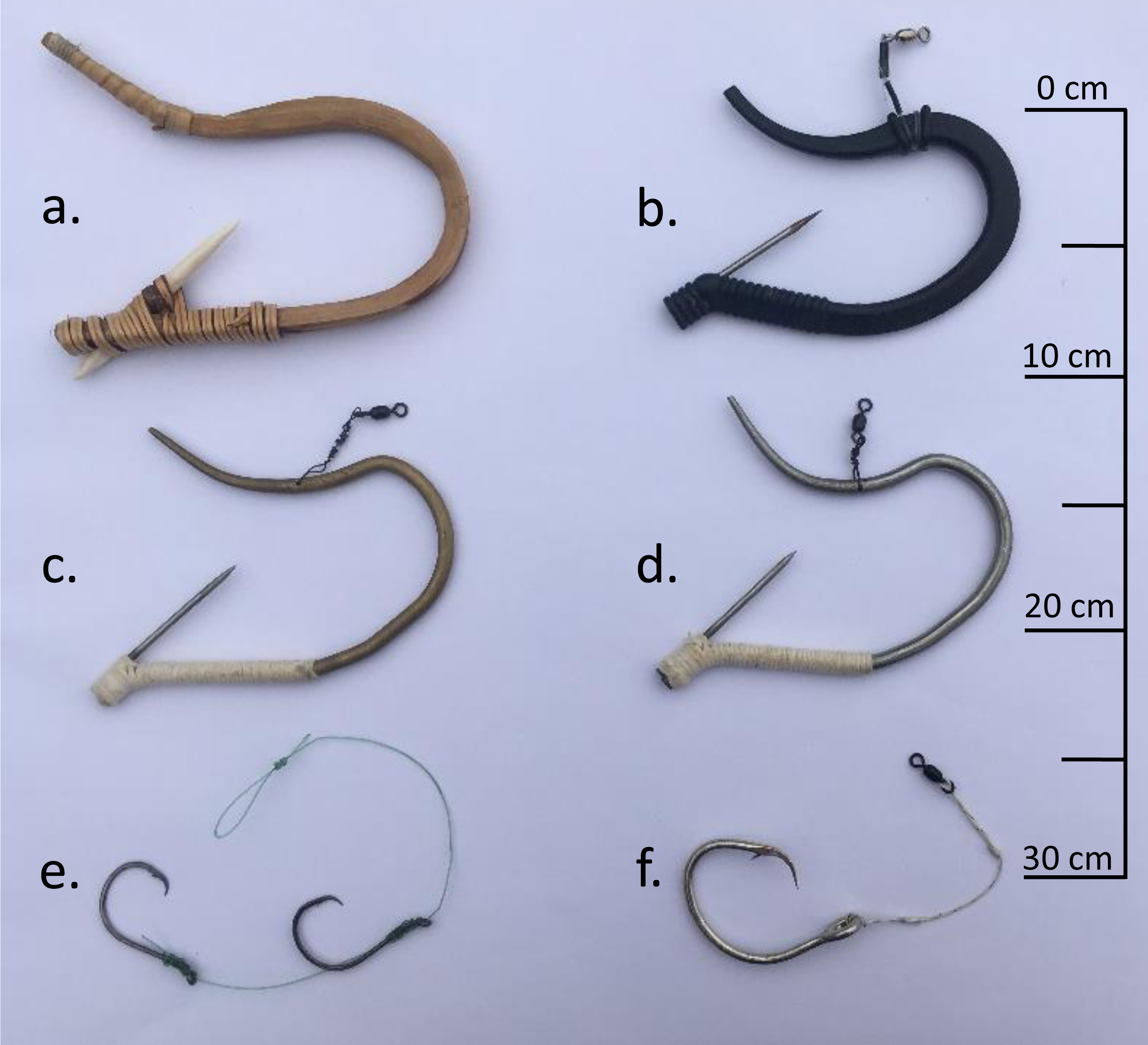 Use of the traditional halibut hook of the Makah Tribe, the čibu