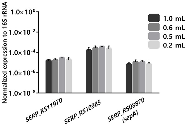 The influence of using different volumes of human blood in co-incubations assays on the stability of transcription levels of SERP_RS11970, SERP_RS10985 and SERP_RS08870 genes.