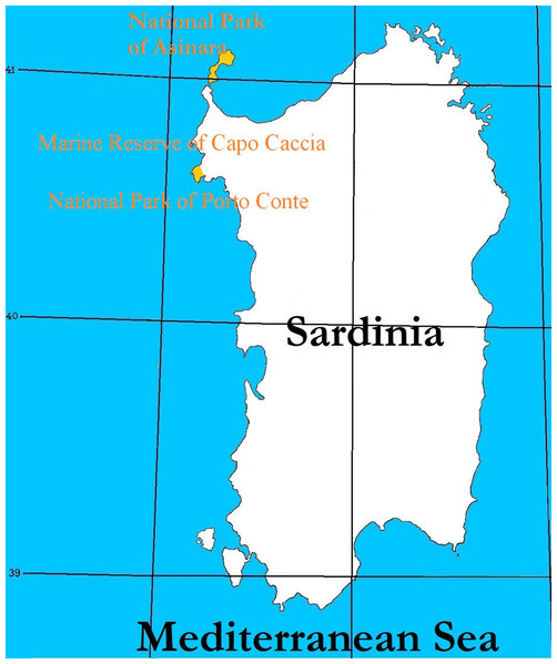Map of Sardinia and latitudes of Asinara island where the National Park and Marine Reserve of Asinara is established, Capo Caccia and Porto Conte Parks (in yellow).