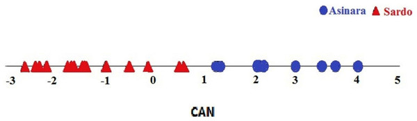 Plot of individual assignment to breeds at CANDISC. Blue symbols represent Asinara donkeys and red symbols represent Sardo donkeys.