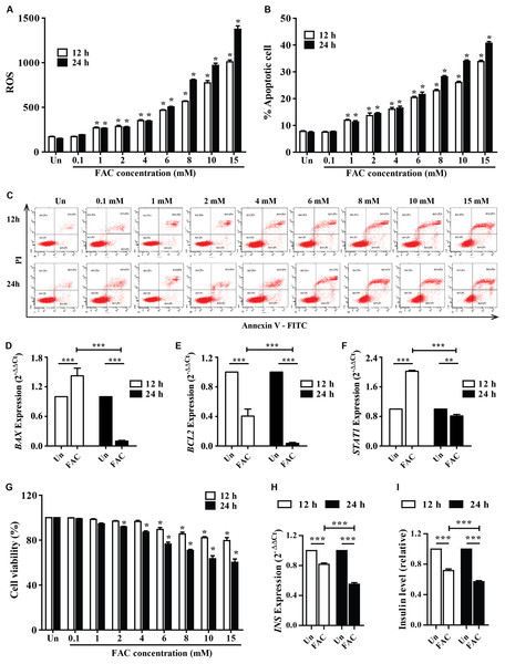 Iron-induce intracellular ROS generation, increase cell death, reduce INS expression, and insulin production in pancreatic β-cells.