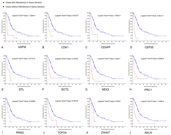 Disease-free survival analyses of hubgenes (A–L) were performed using the cBioPortal online platform.