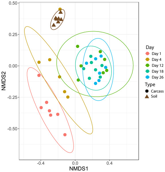 Nonmetric multidimensional scaling (NMDS) plot showing bacteria community shifts associated with the stages of decomposition.