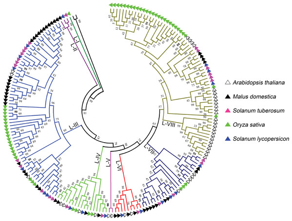 Phylogenetic analysis of L-type LecRLKs from five different plants.