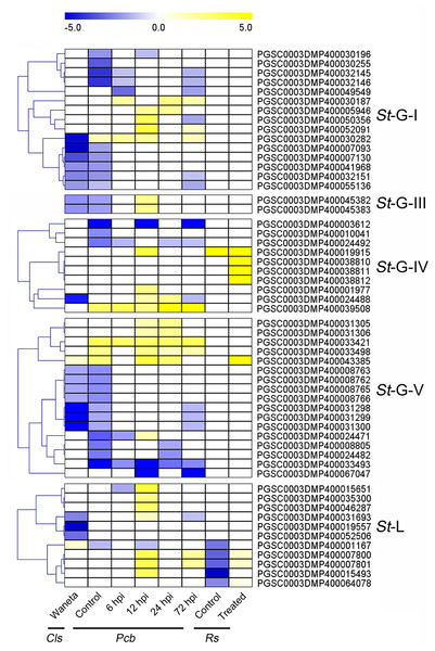 Expression patterns of StLecRLKs in response to phytopathogenic bacteria.