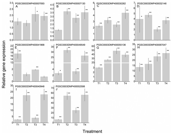 Expressions of 10 StLecRLKs during potato inoculated with Fusarium sulphureum (Fs).