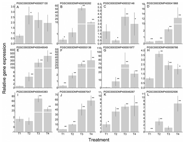 Expressions of 12 StLecRLKs during potato inoculated with Phytophthora infestans (Pi).